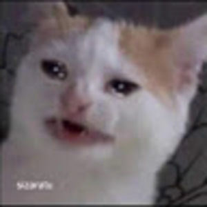 Meet your Posher, Ruby